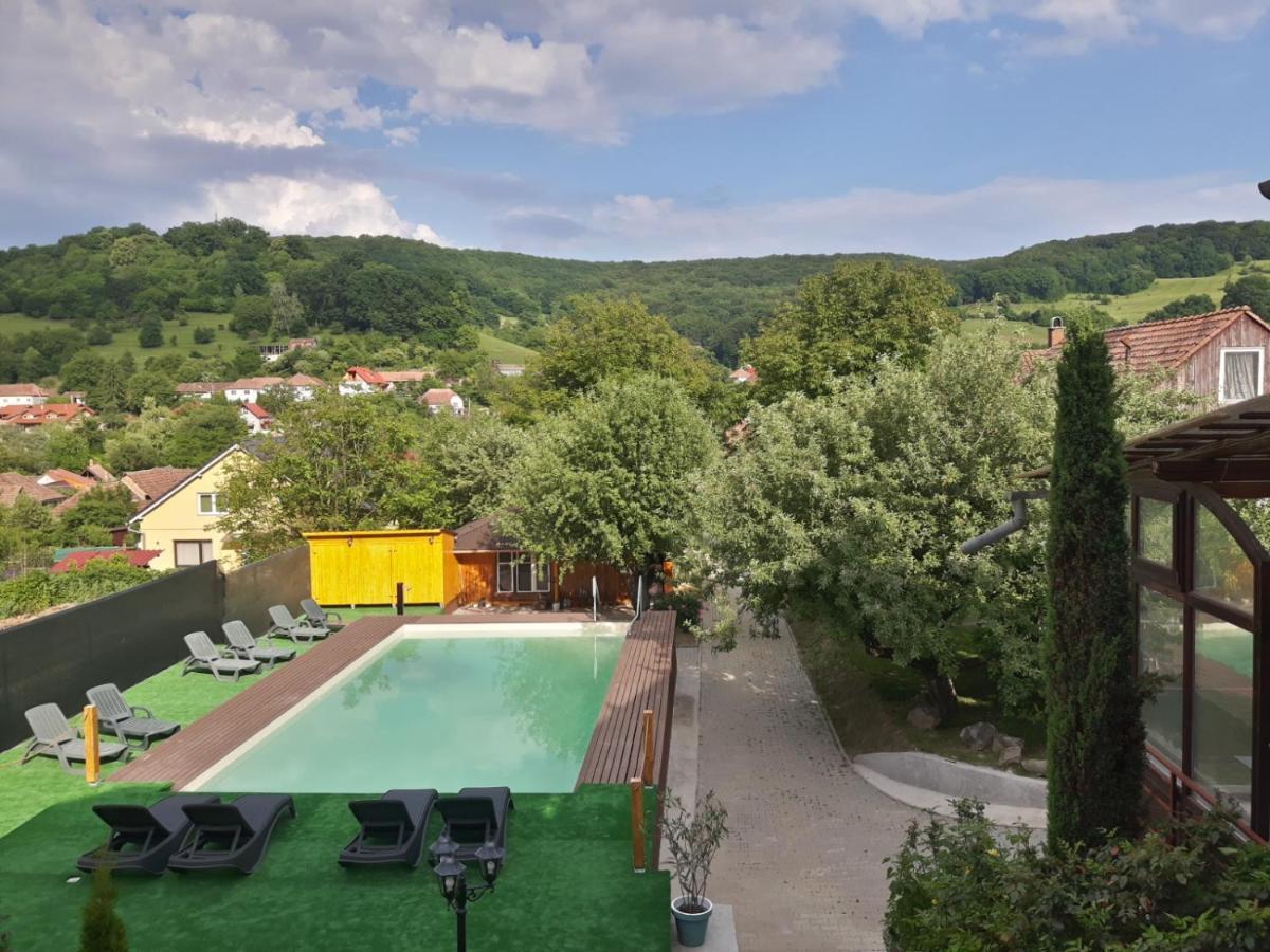 Pensiunea Sighisoara Exterior photo